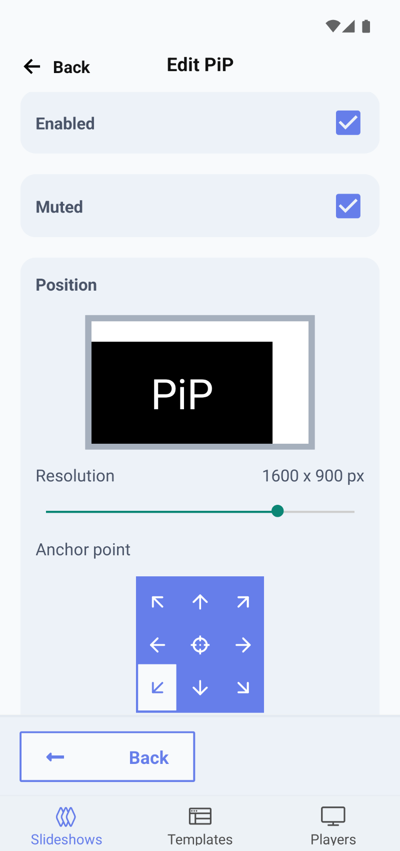 Application screenshot showing a settings page with checkbox and range inputs for adjusting Picture-in-Picture settings